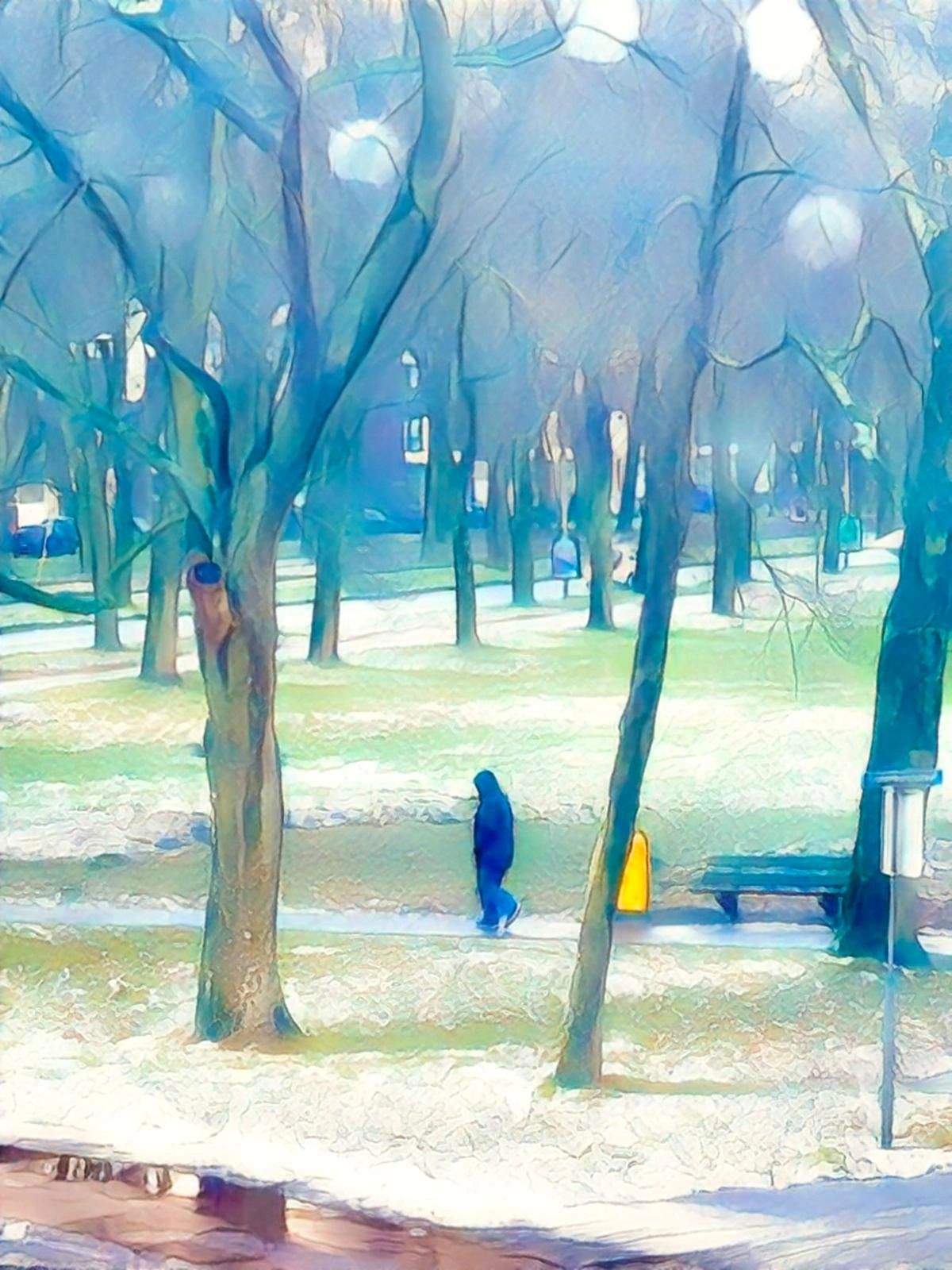 Oud en Nieuw in het Park