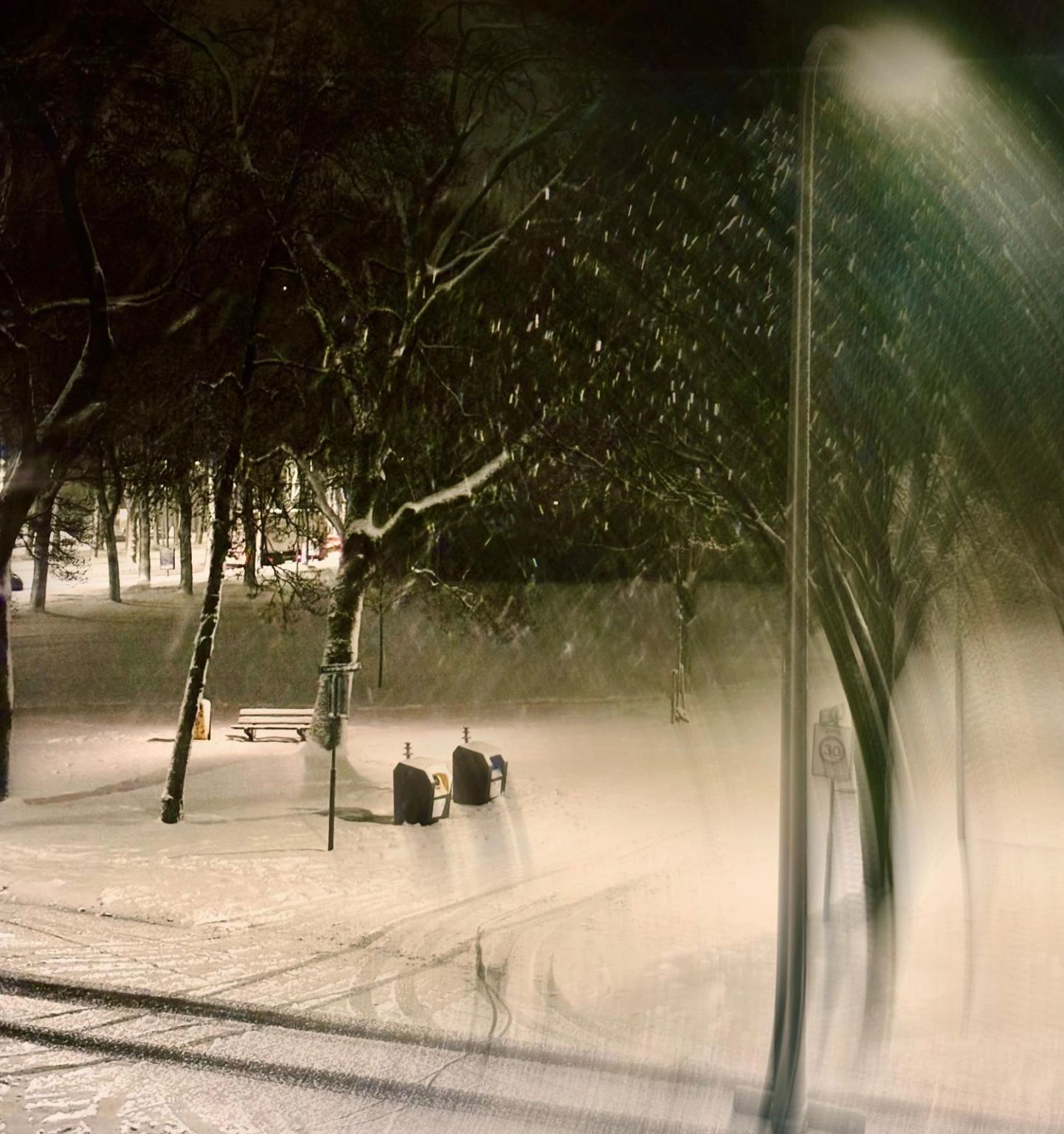 Het bankje (in winterstand)