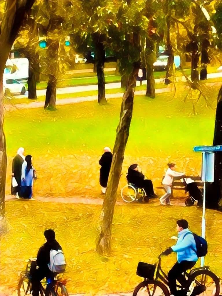 Het bankje dat niemand zag